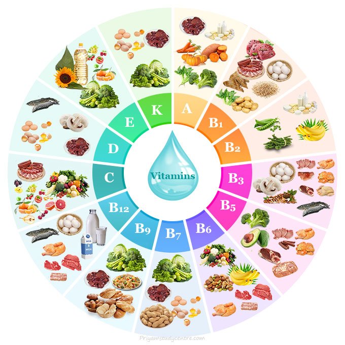 NUTRISI YANG DIBUTUHKAN UNTUK TUBUH